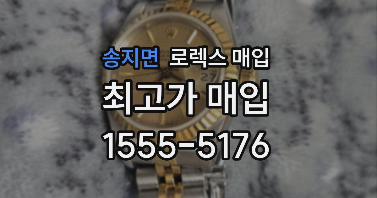 송지면 로렉스 매입