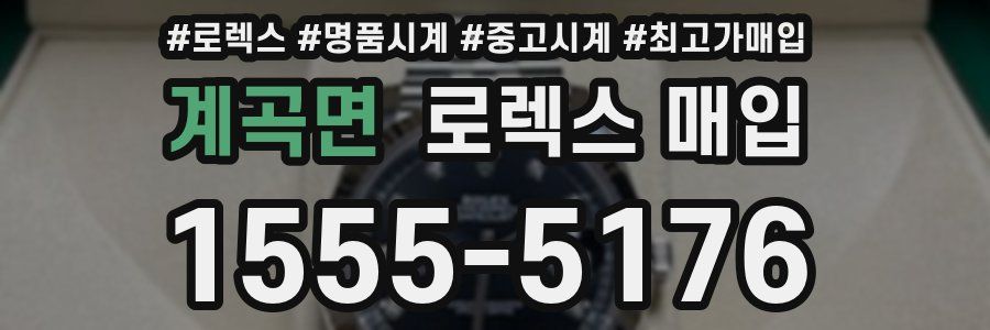 계곡면 로렉스 매입