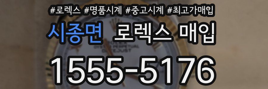 시종면 로렉스 매입