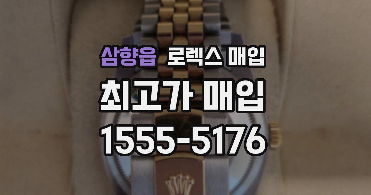 삼향읍 로렉스 매입