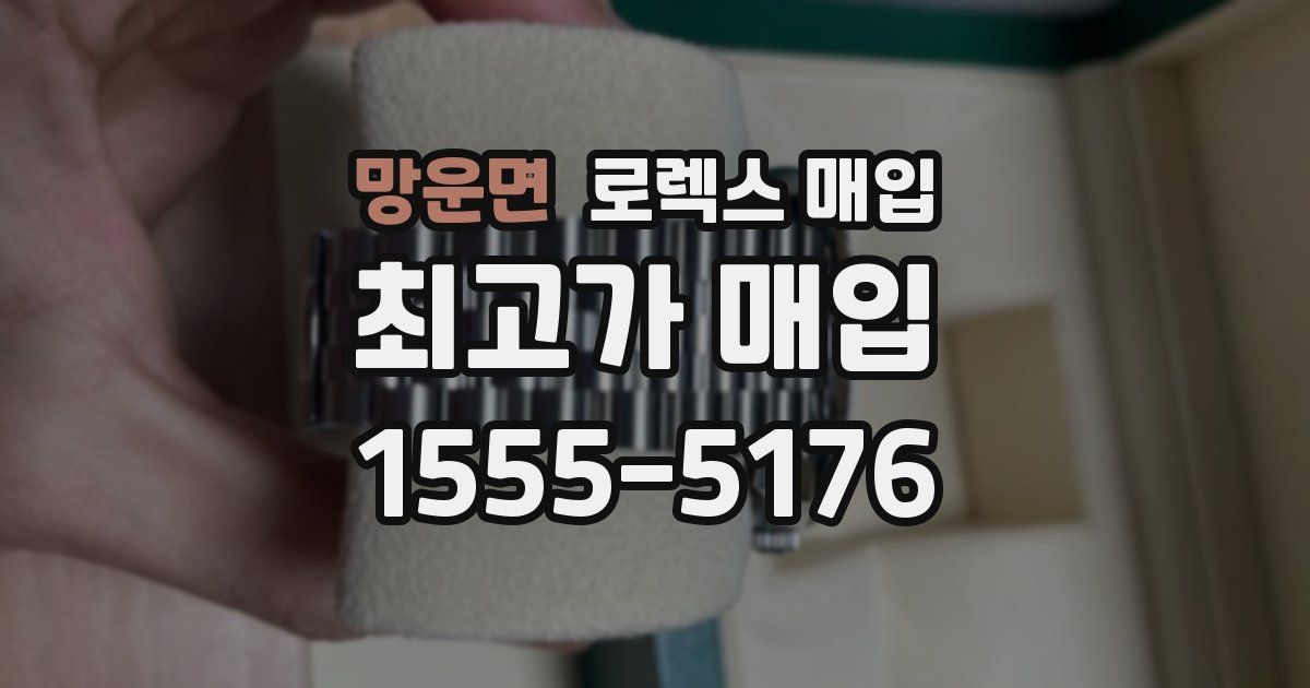 망운면 로렉스 매입