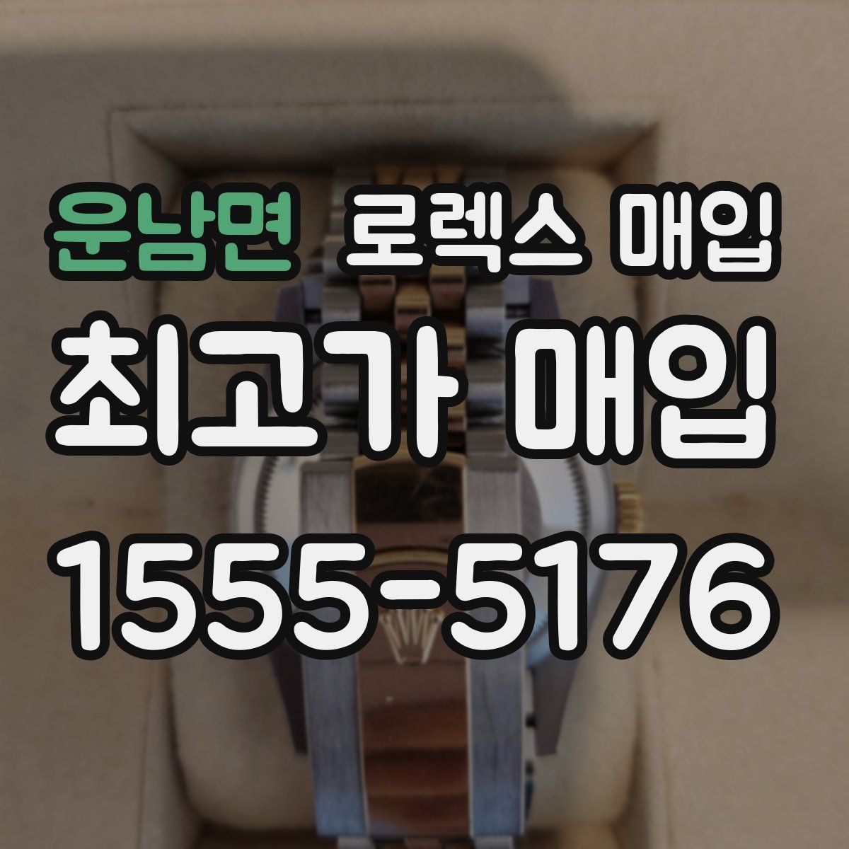 운남면 로렉스 매입