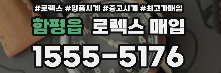 함평읍 로렉스 매입