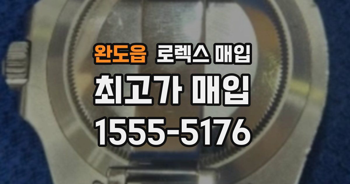 완도읍 로렉스 매입