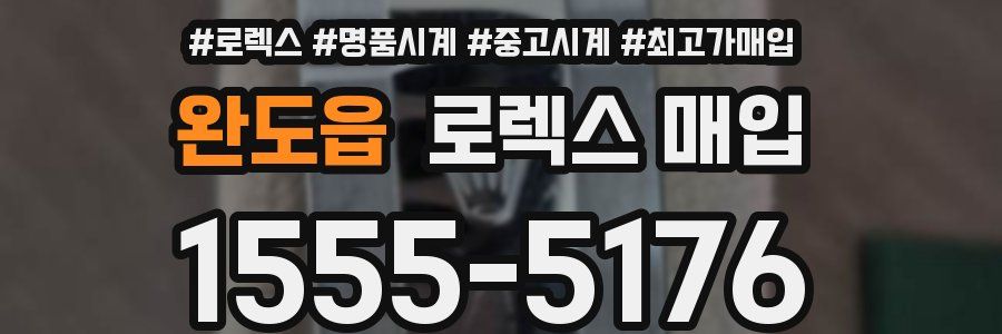 완도읍 로렉스 매입