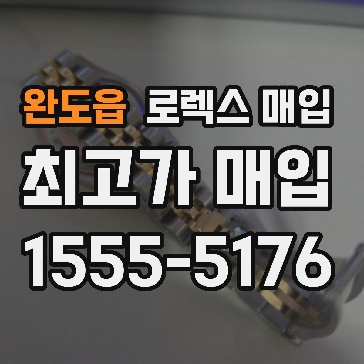 완도읍 로렉스 매입