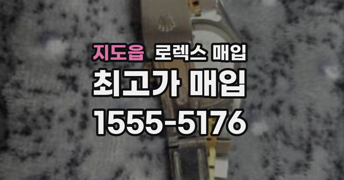 지도읍 로렉스 매입