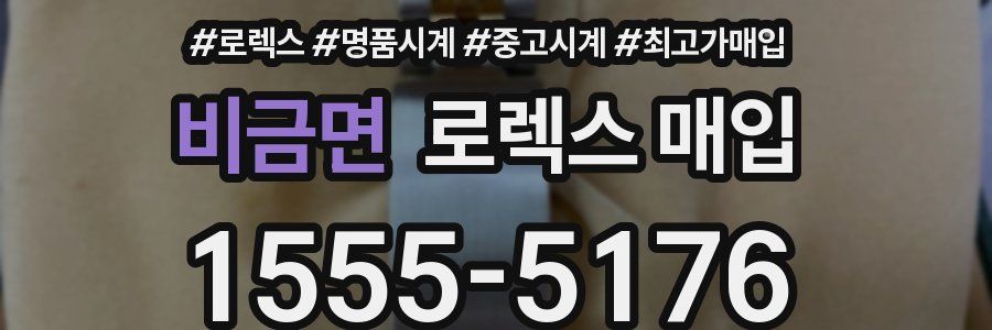 비금면 로렉스 매입