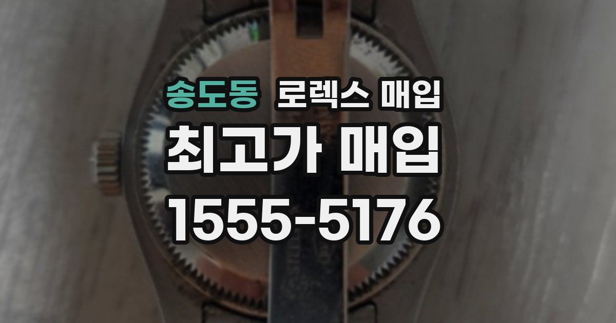 송도동 로렉스 매입