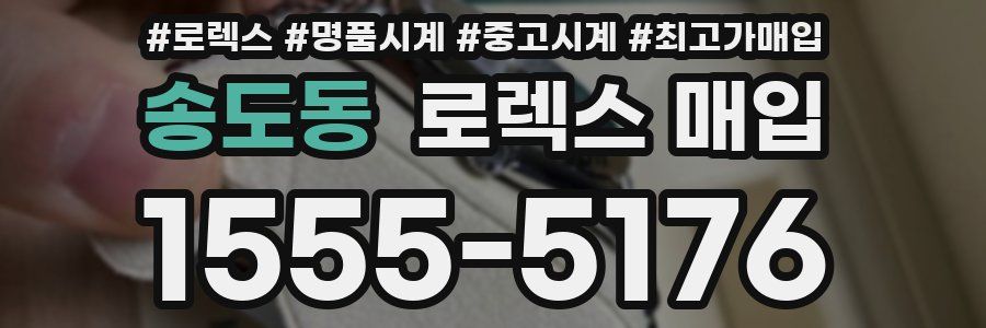 송도동 로렉스 매입