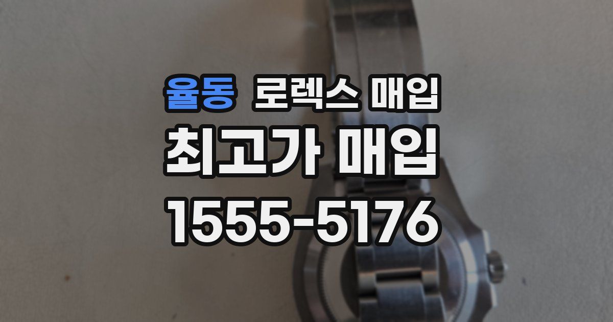 율동 로렉스 매입