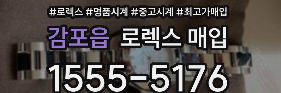 감포읍 로렉스 매입