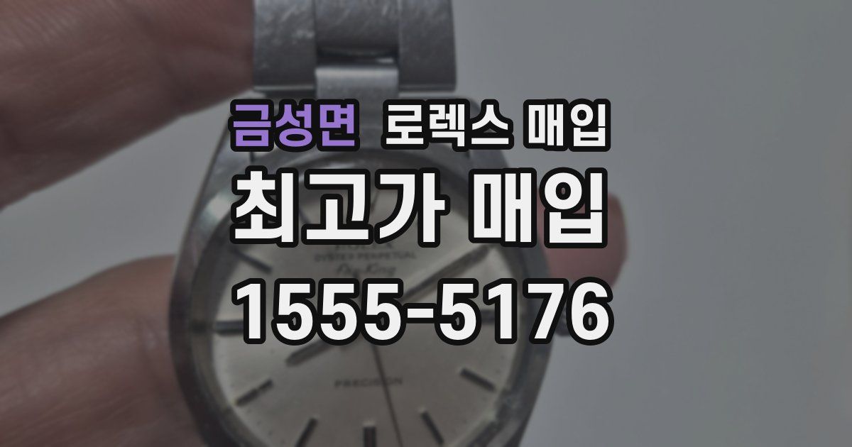 금성면 로렉스 매입