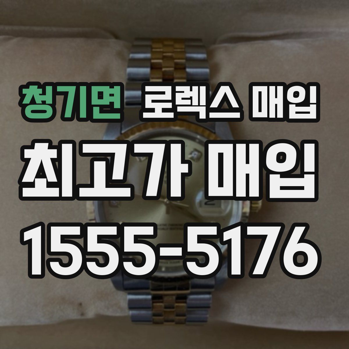 청기면 로렉스 매입