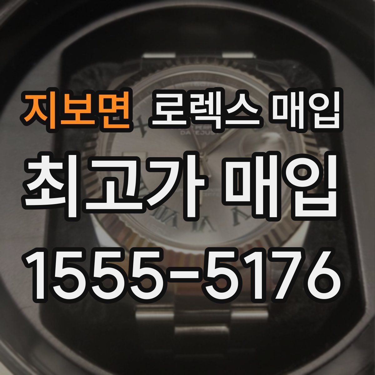 지보면 로렉스 매입