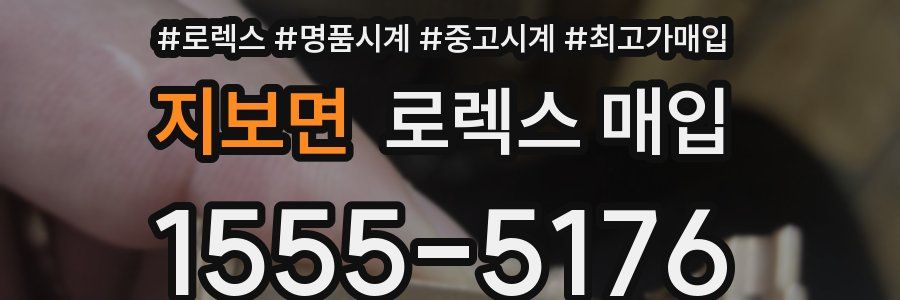 지보면 로렉스 매입