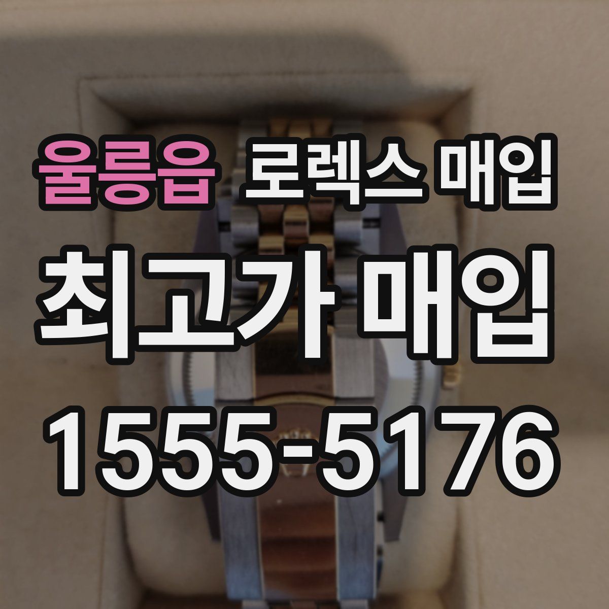 울릉읍 로렉스 매입