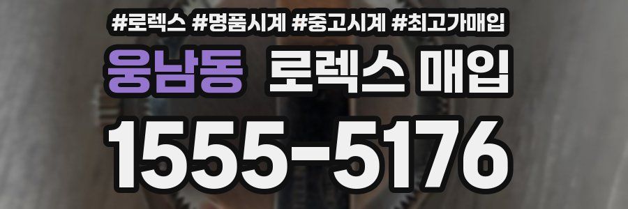 웅남동 로렉스 매입