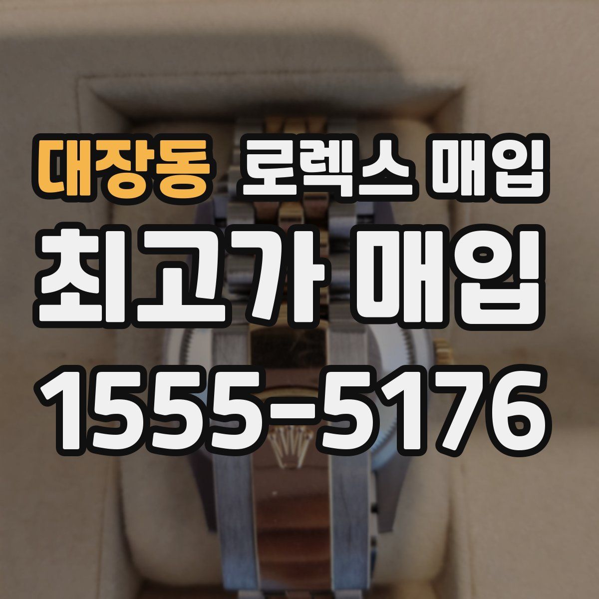 대장동 로렉스 매입