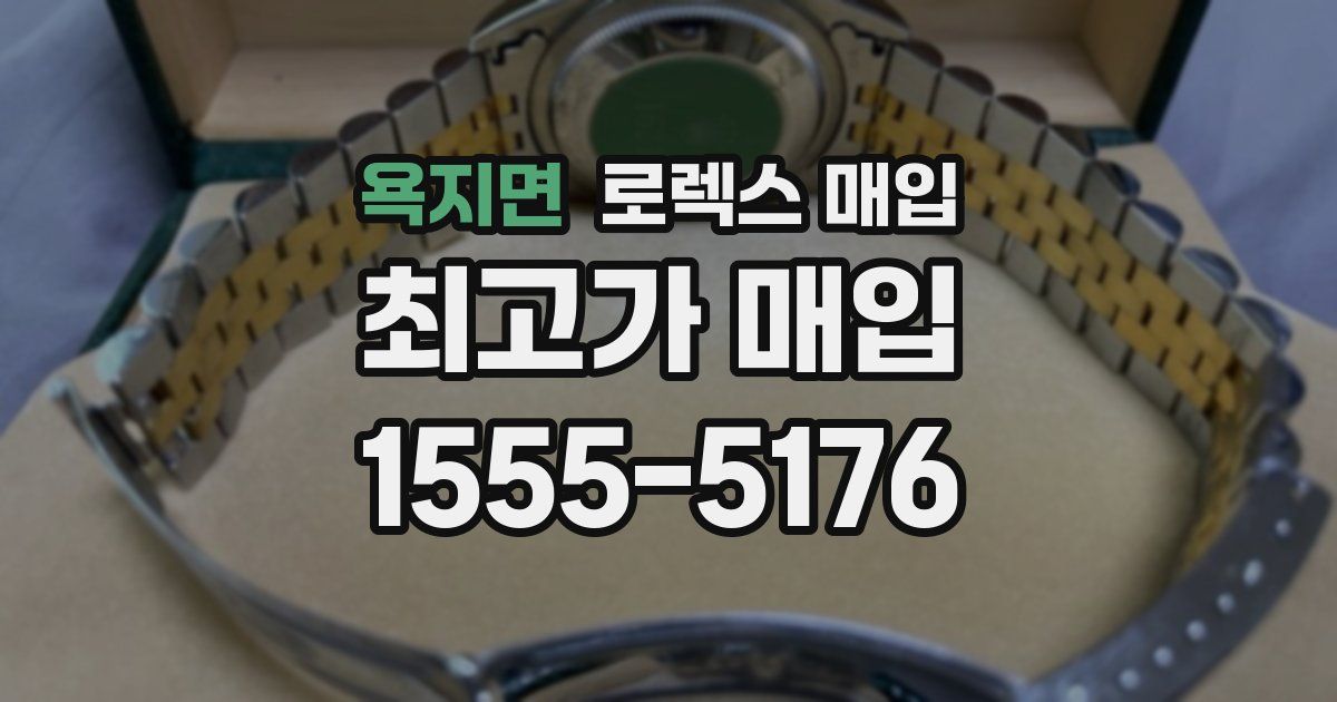 욕지면 로렉스 매입