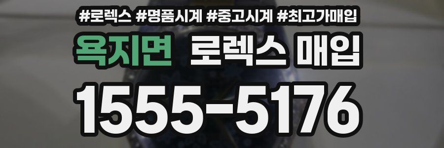 욕지면 로렉스 매입