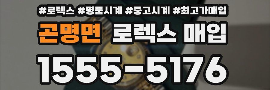 곤명면 로렉스 매입