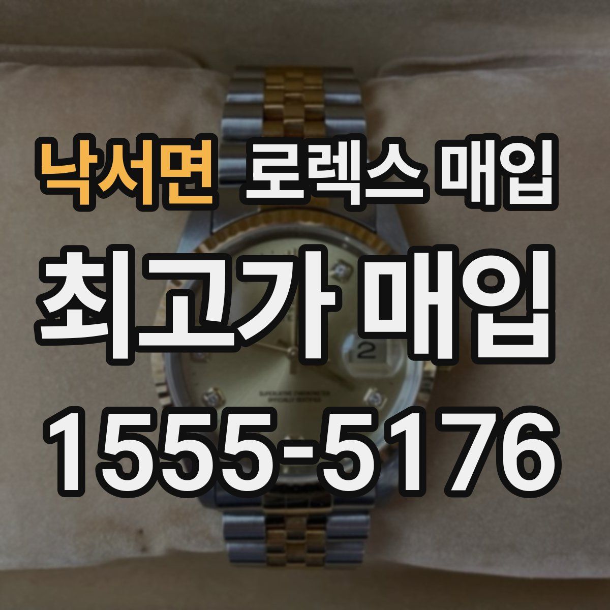 낙서면 로렉스 매입