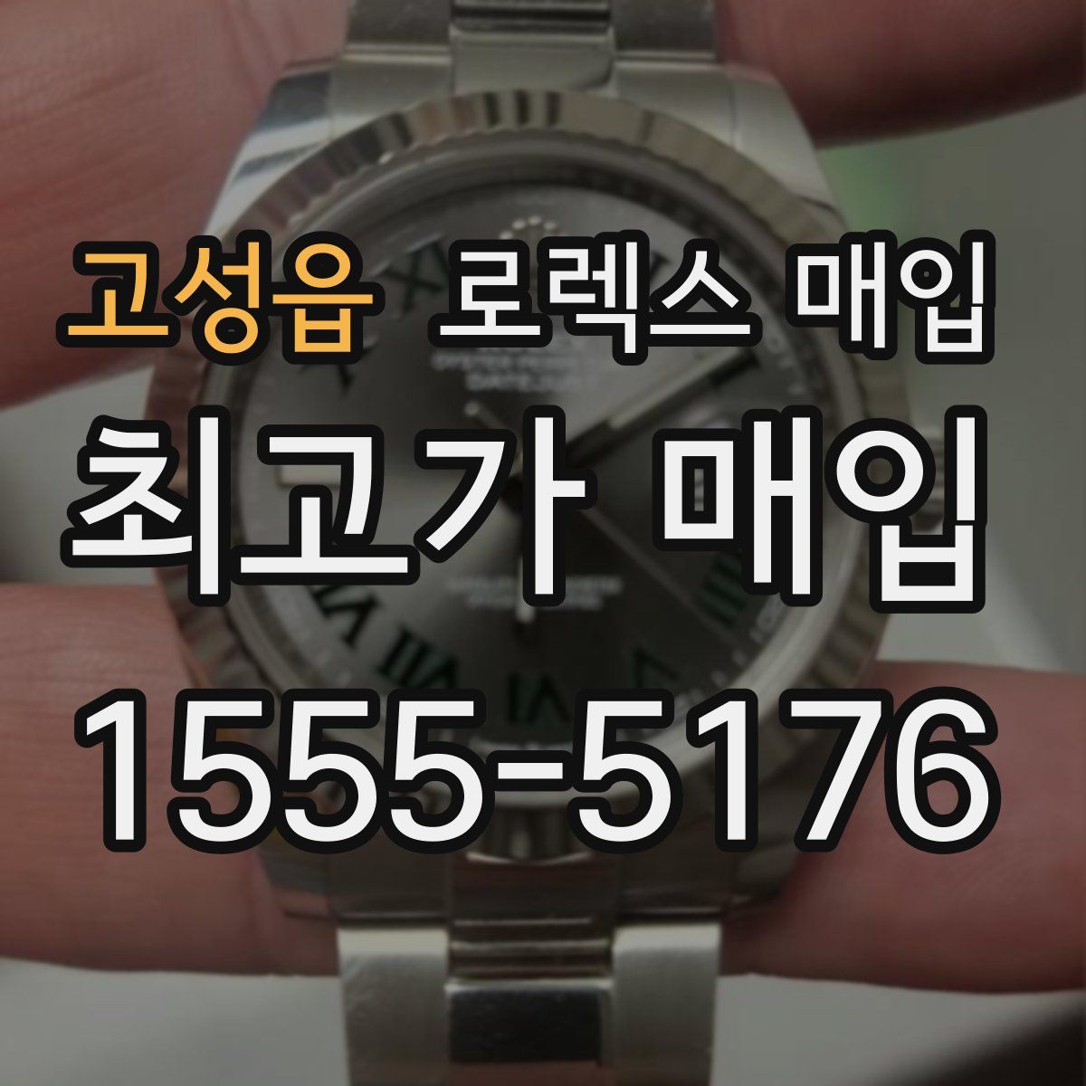 고성읍 로렉스 매입