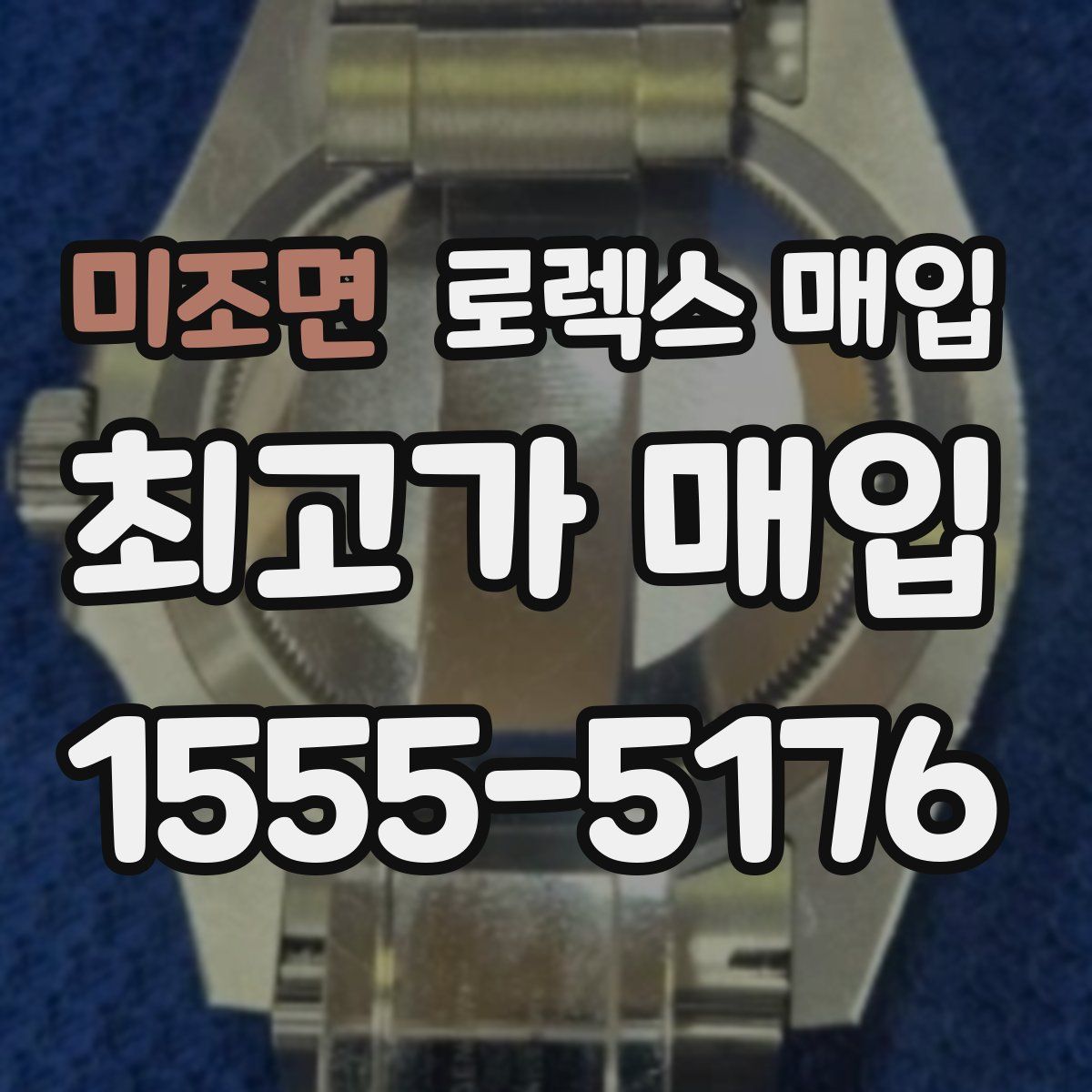 미조면 로렉스 매입