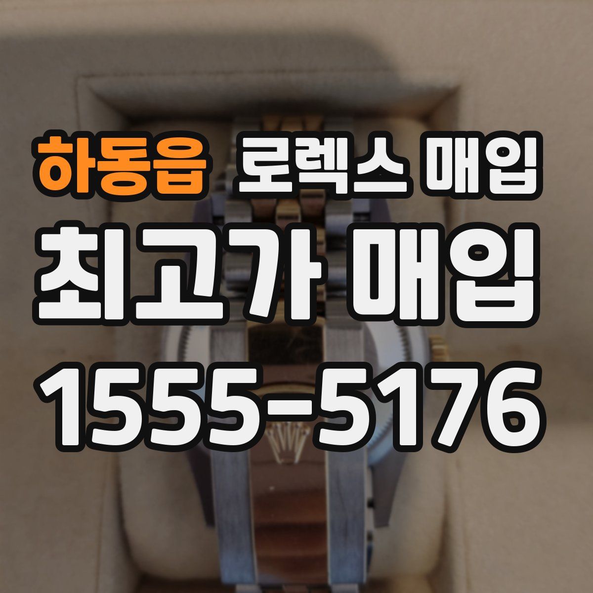 하동읍 로렉스 매입