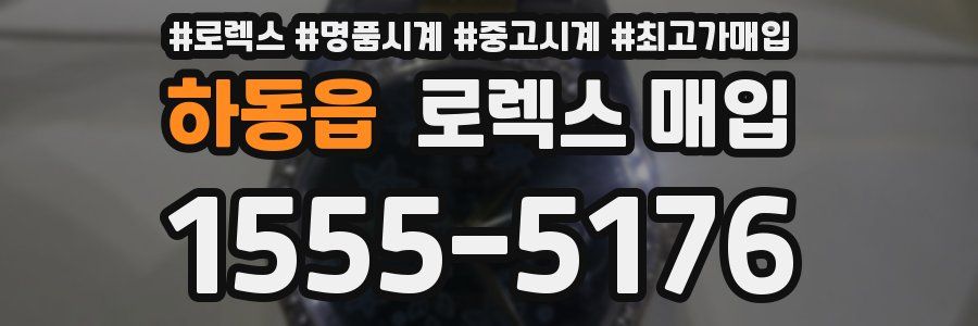 하동읍 로렉스 매입