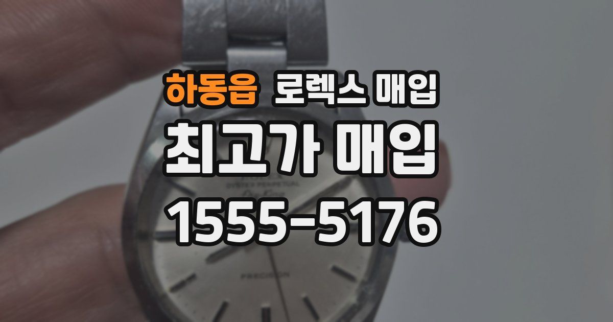 하동읍 로렉스 매입