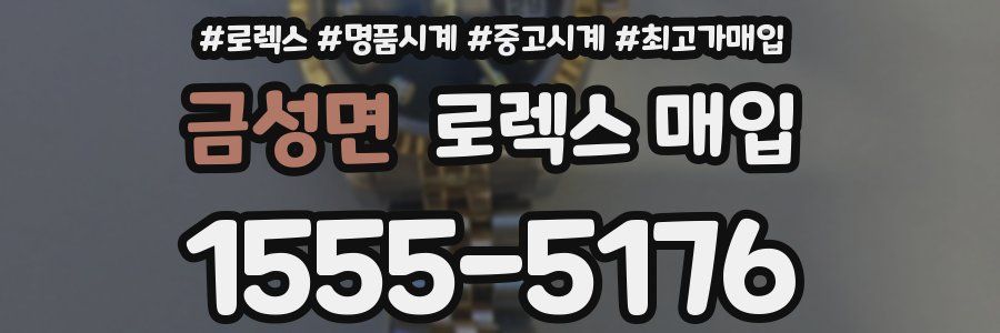 금성면 로렉스 매입