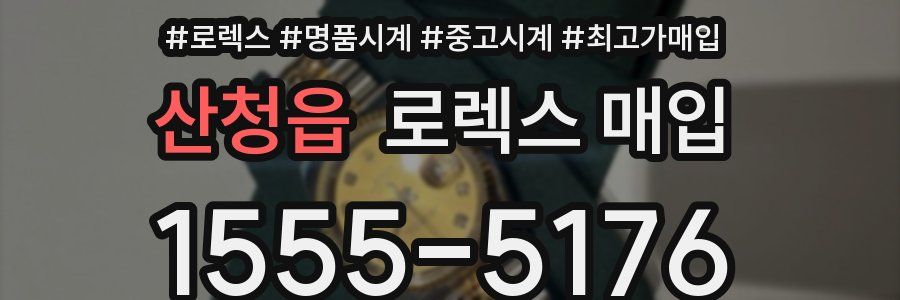 산청읍 로렉스 매입