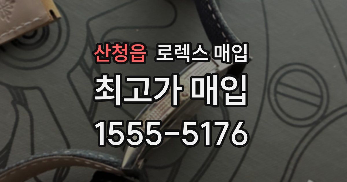 산청읍 로렉스 매입