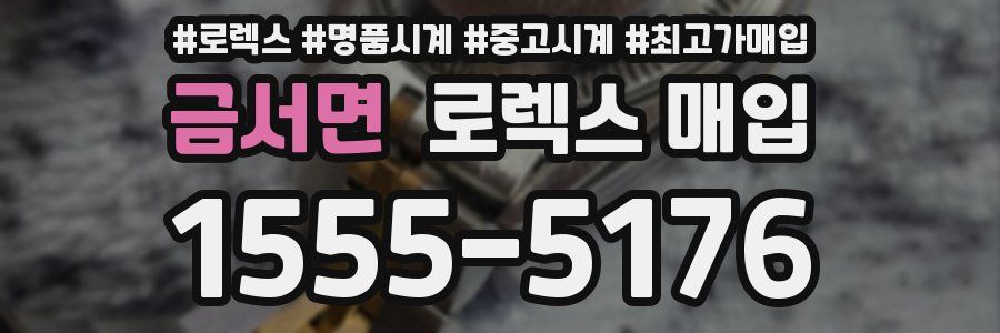 금서면 로렉스 매입