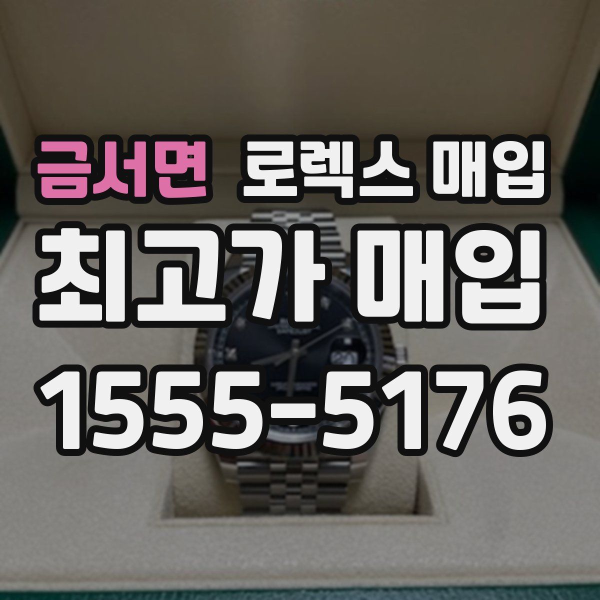 금서면 로렉스 매입