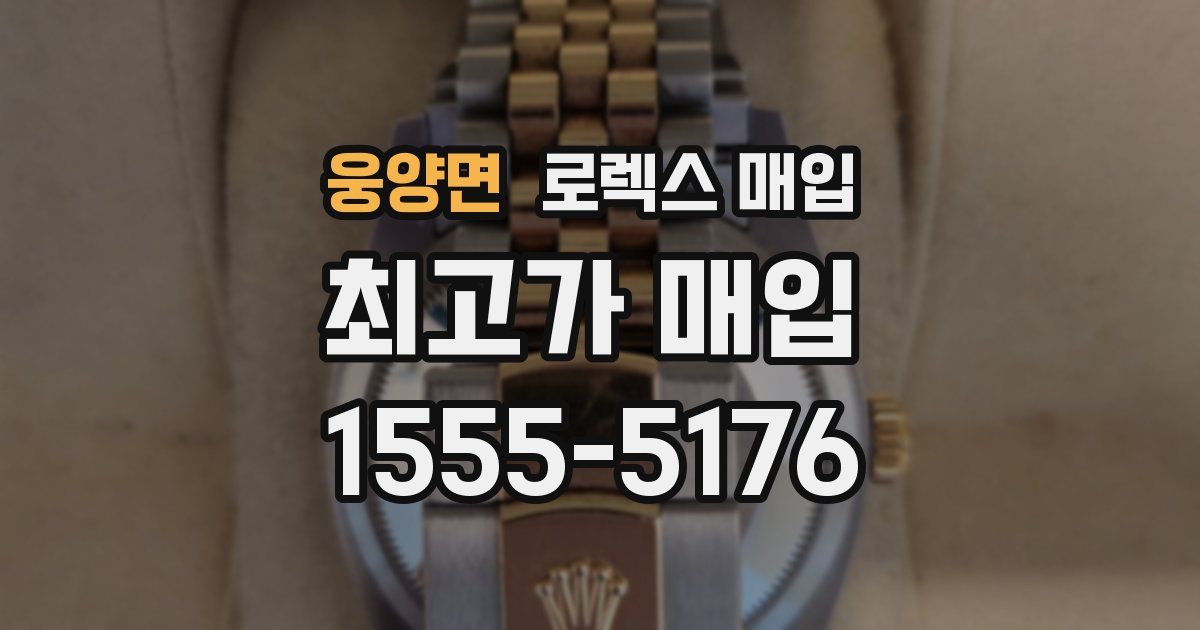 웅양면 로렉스 매입