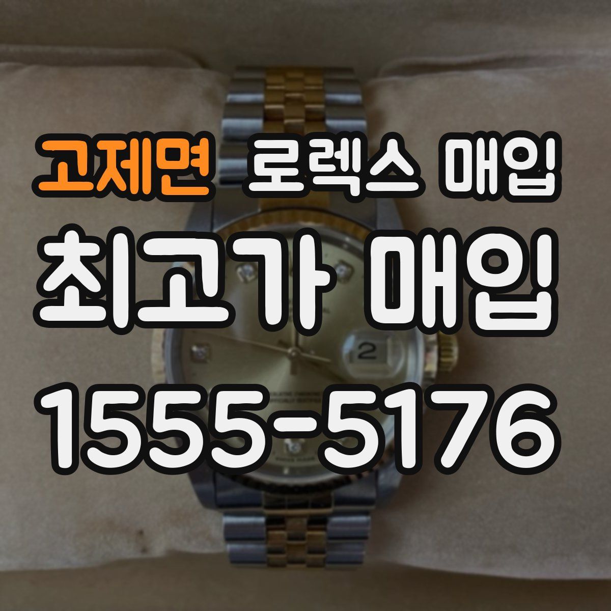 고제면 로렉스 매입