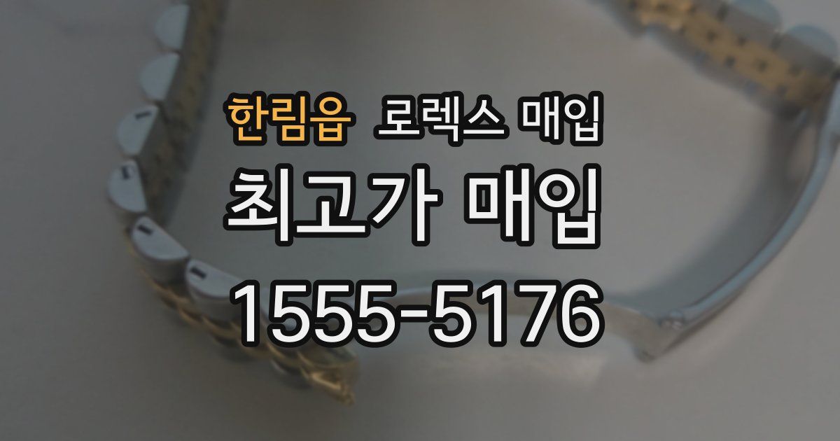 한림읍 로렉스 매입