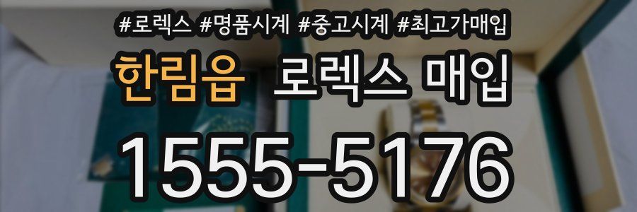 한림읍 로렉스 매입