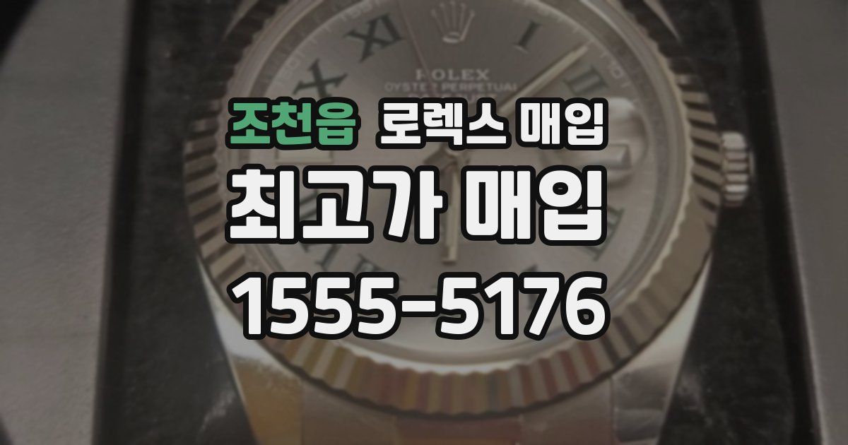 조천읍 로렉스 매입