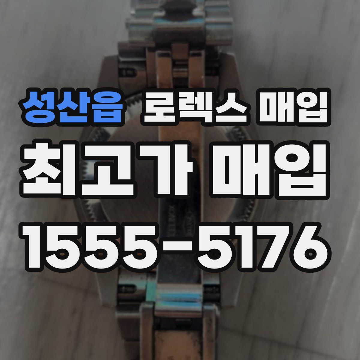 성산읍 로렉스 매입