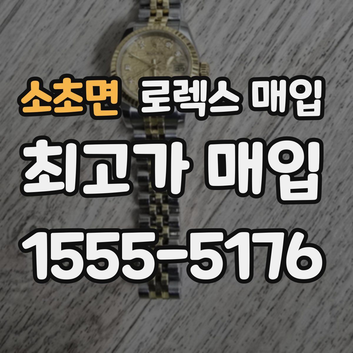 소초면 로렉스 매입