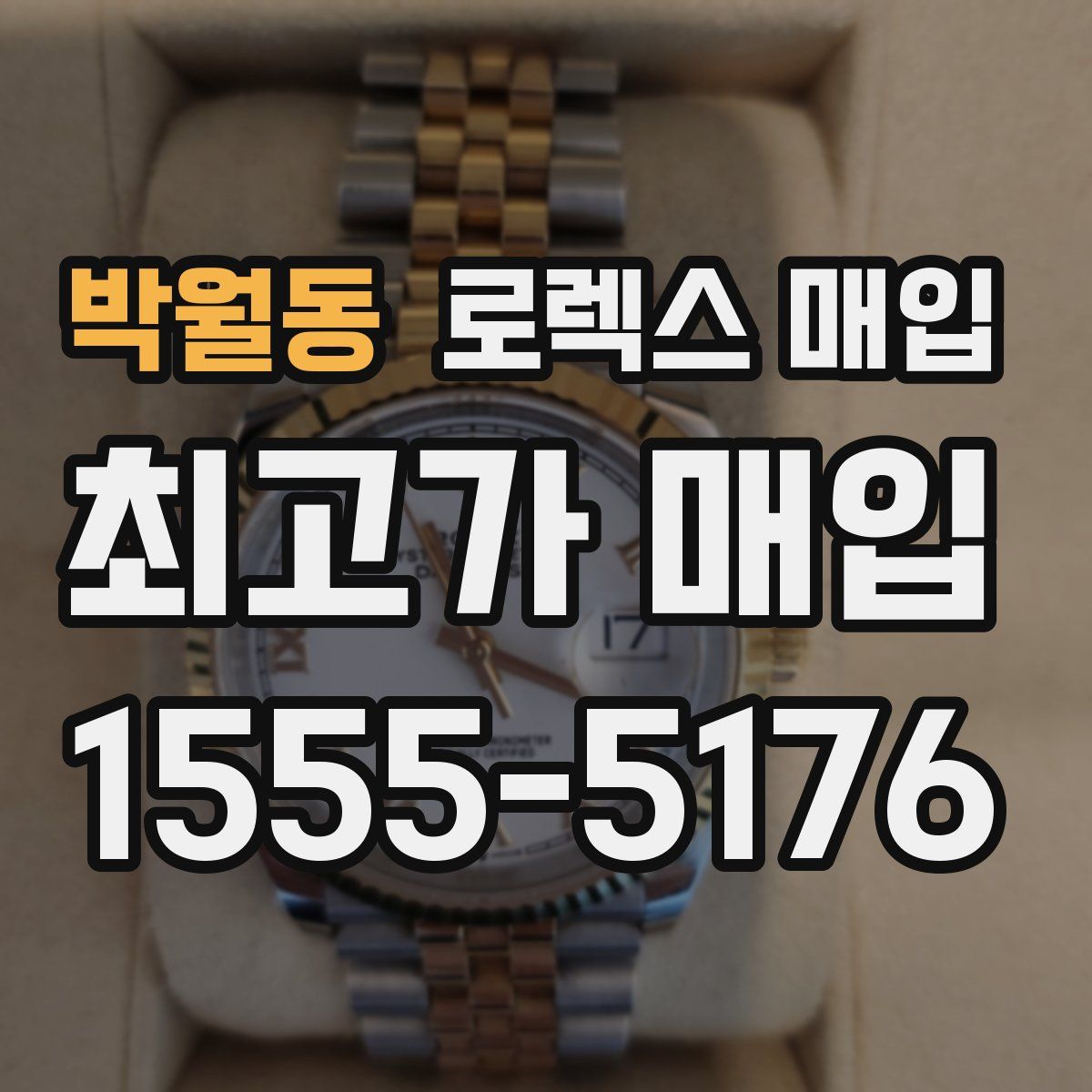 박월동 로렉스 매입