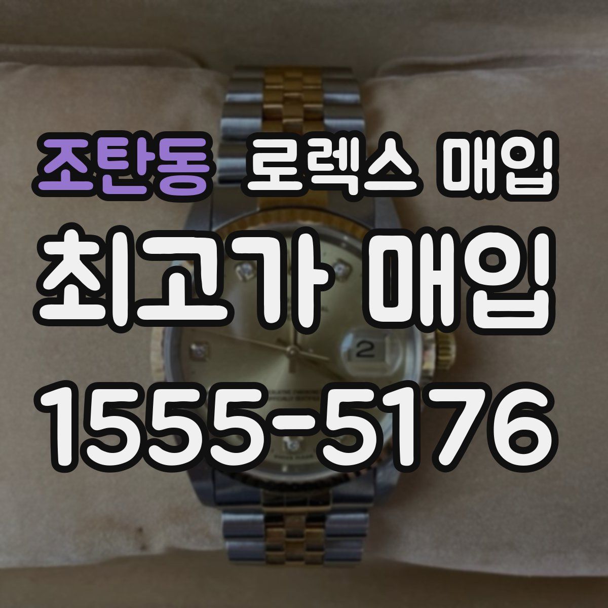 조탄동 로렉스 매입