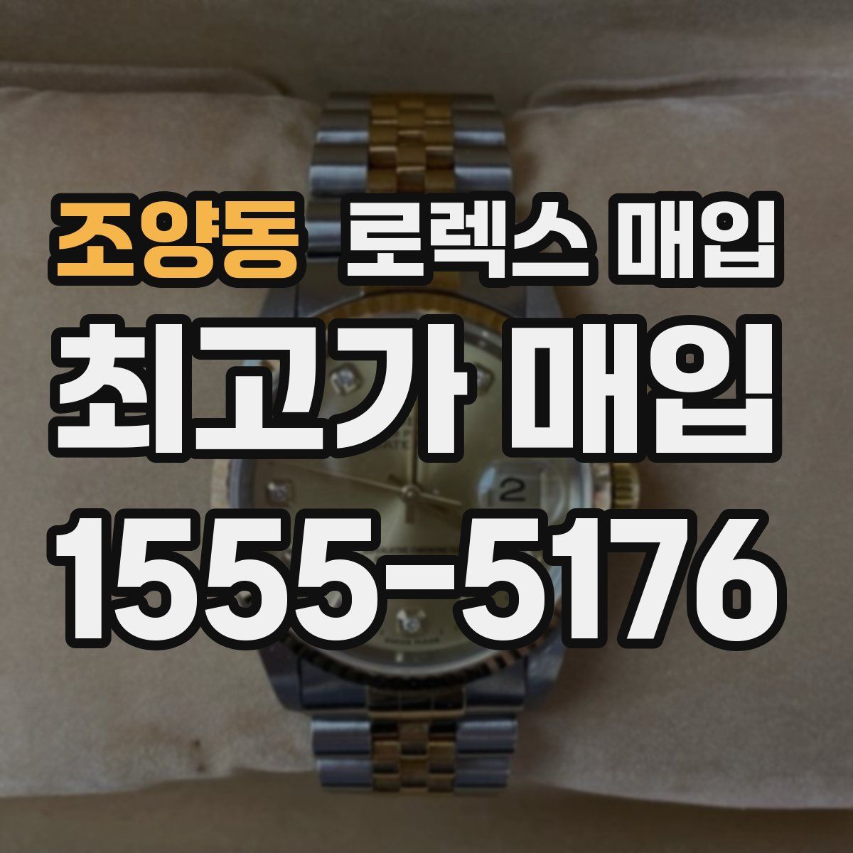 조양동 로렉스 매입