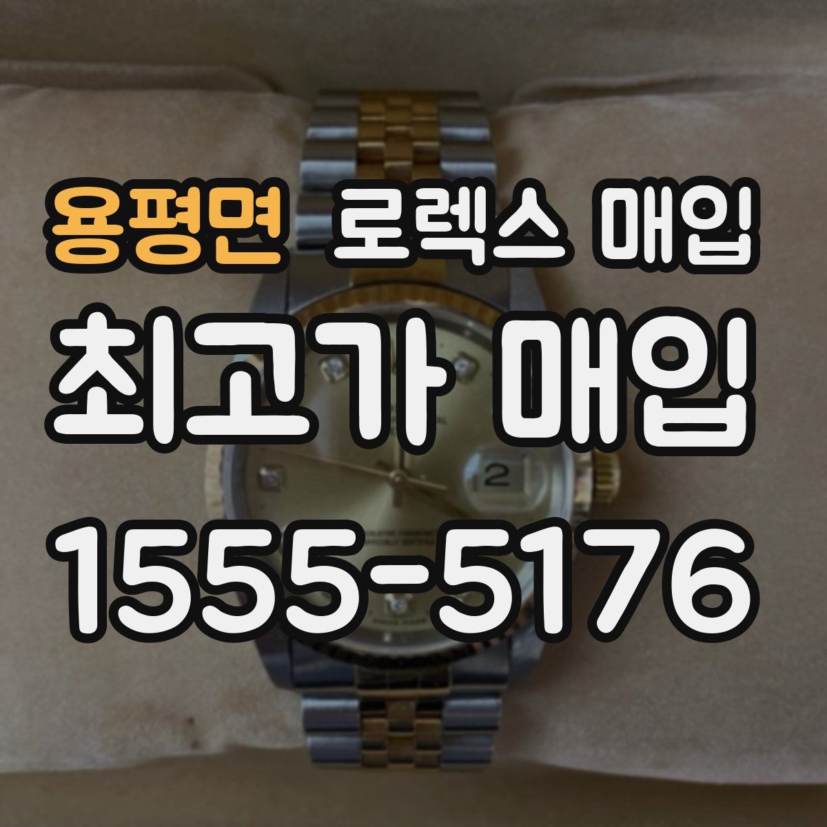 용평면 로렉스 매입