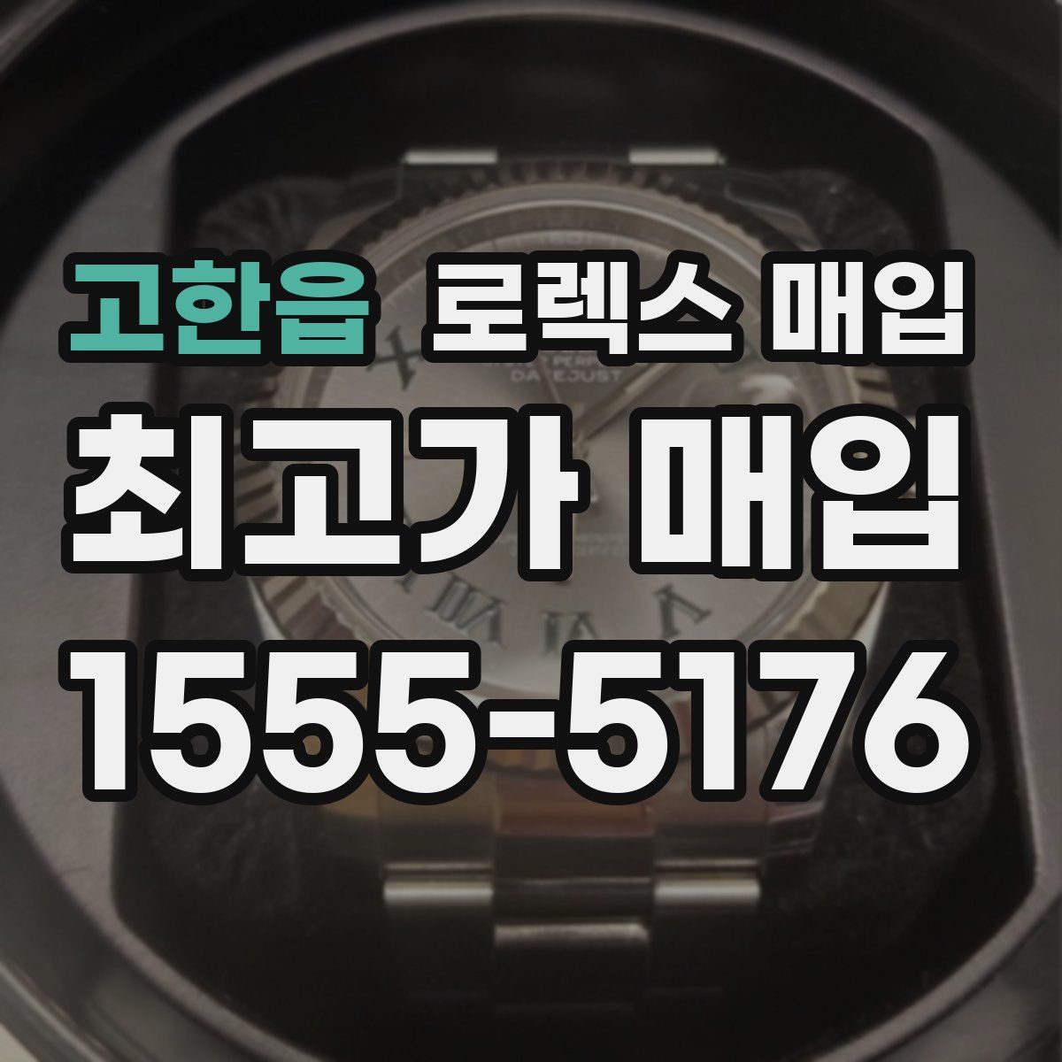 고한읍 로렉스 매입