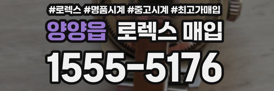 양양읍 로렉스 매입